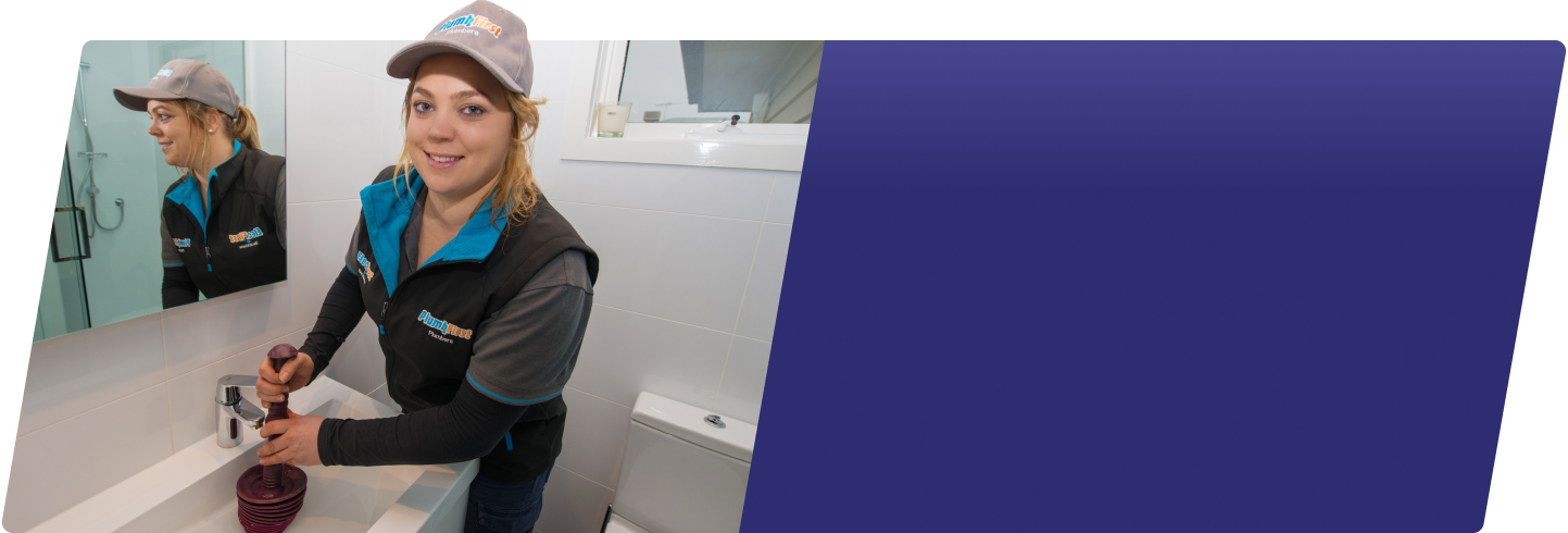 Professional Plumbers