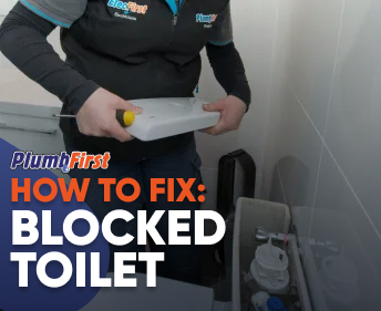 Professional Plumbers