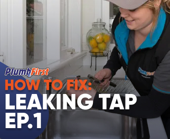 Professional Plumbers