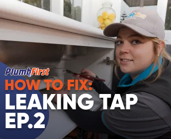 Professional Plumbers