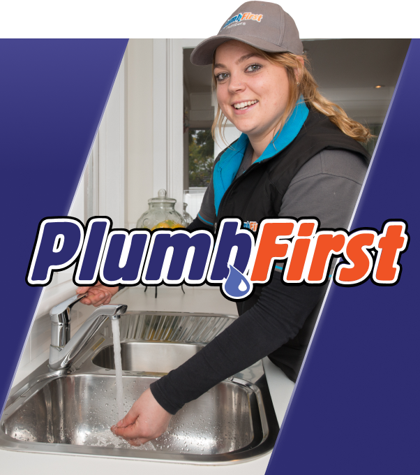 Professional Plumbers