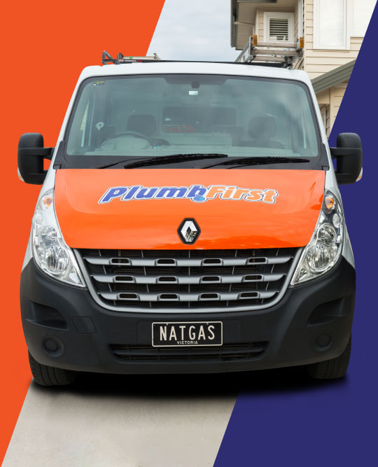 Professional Plumbers