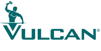 Professional Plumbers