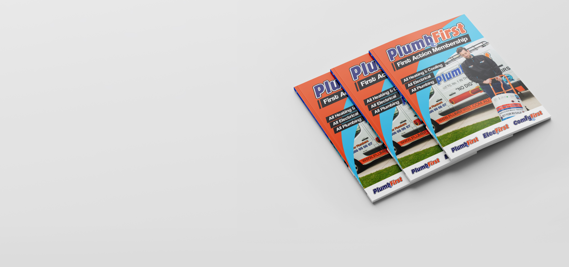 Professional Plumbers